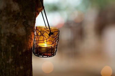 Un htel  taille humaine