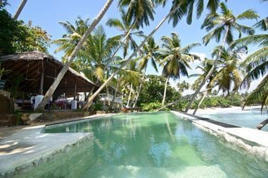 Dans un cadre paradisiaque