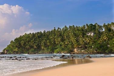 Bienvenue sur la cte sud du Sri Lanka !