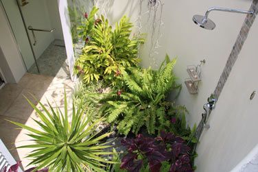 La douche extrieure du bungalow Badamier