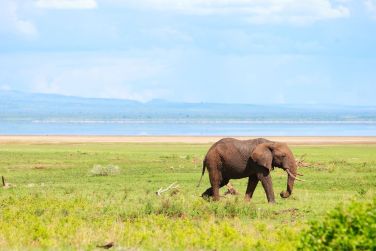 photo Tanzanie / Zanzibar - De la Savane  l'ocan Tanzanie