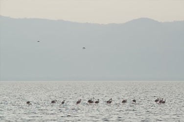 ... et du lac Manyara
