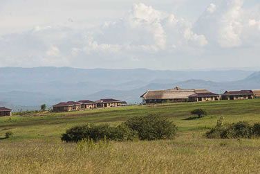 Au cur dune plantation de caf