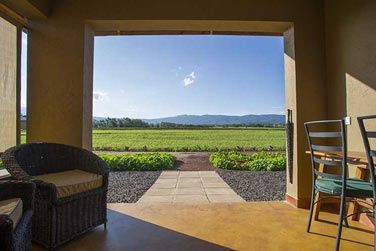 Vous serez entour par les plantations de caf