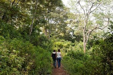 Faites une randonne sur les bords du cratre  la dcouverte de la flore locale