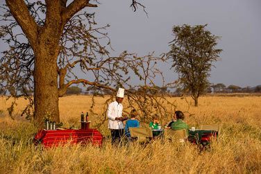 Des djeuners pique-nique peuvent tre organiss au coeur de la savane