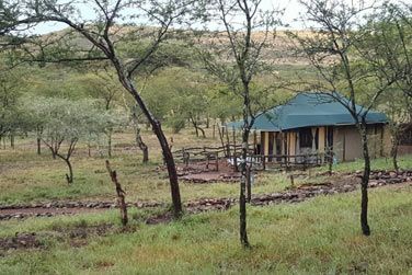 Bienvenue au Ole Serai Moru kopjes Camp !