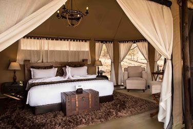 La dco est en parfaite harmonie avec l'environnement sauvage entourant la tente