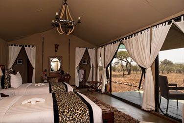 Vous serez en osmose parfaite avec la nature sauvage