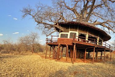 Laissez la nostalgie de l'enfance s'emparer de vous avec ces cabanes dans les arbres