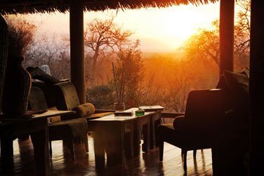 Admirez toute la beaut de la nature tanzanienne en sjournant au Tarangire Treetops...