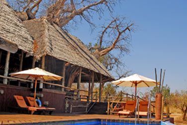 Quoi de mieux que de se dtendre au bord de la piscine aprs une journe de safari ?