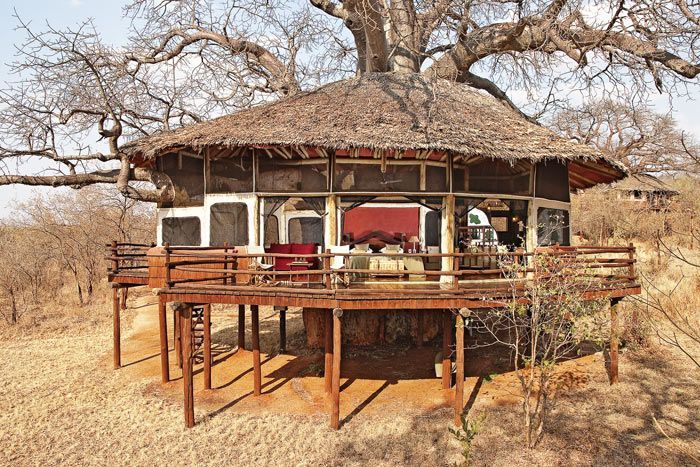 lodge tarangire treetops tanzanie