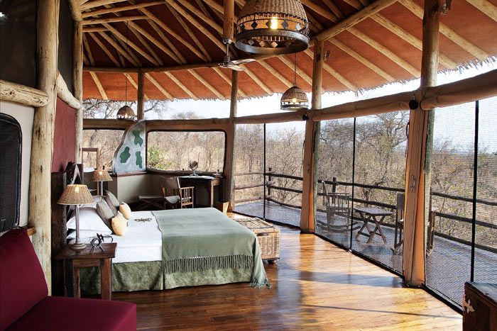 photo tarangire treetops