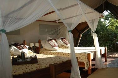 Les tentes offrent un cadre cosy et naturel