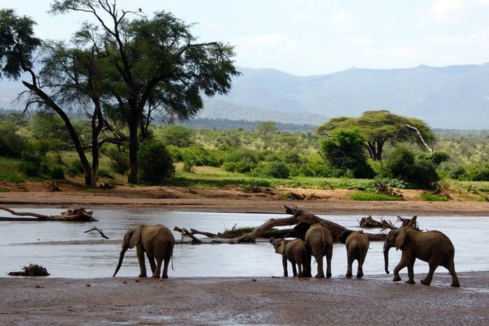 photo la tanzanie autrement - de mikumi  selous