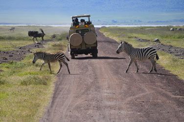 Partez  la dcouverte du fameux Parc National du Serengeti