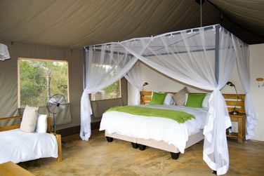 photo Honeyguide Khoka Moya Camp Afrique du Sud