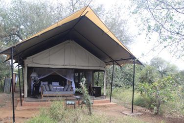 photo Honeyguide Khoka Moya Camp Afrique du Sud