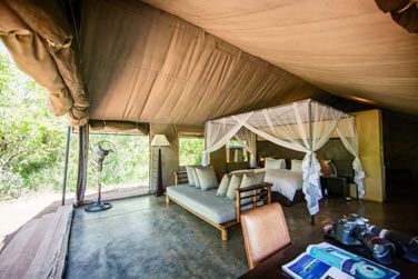 photo Honeyguide Khoka Moya Camp Afrique du Sud