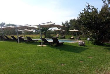 photo Honeyguide Khoka Moya Camp Afrique du Sud