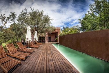 photo Honeyguide Khoka Moya Camp Afrique du Sud