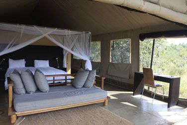 photo Honeyguide Khoka Moya Camp Afrique du Sud