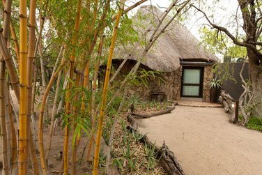 photo Chitwa Chitwa Lodge Afrique du Sud