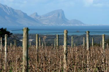 photo Combin Le Cap / Parc Kruger + Extension aux Chutes Victoria Afrique du Sud