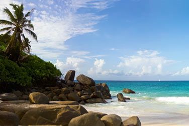 photo Combin Afrique du Sud / Seychelles - 3 semaines de dcouverte Afrique du Sud