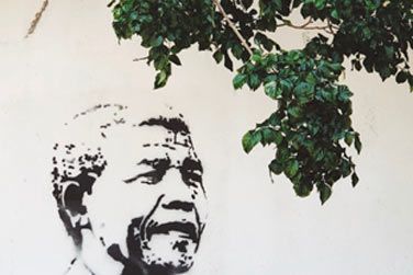 photo De la pninsule du Cap au Parc Kruger Afrique du Sud