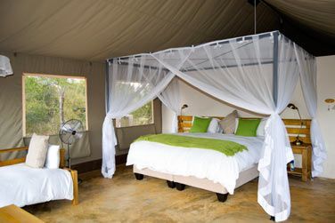 photo Dcouverte complte de l'Afrique du Sud Afrique du Sud