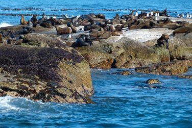 photo Dcouverte complte de l'Afrique du Sud Afrique du Sud