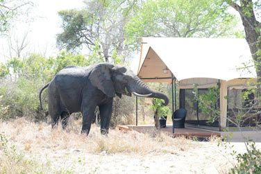 photo Dcouverte complte de l'Afrique du Sud Afrique du Sud