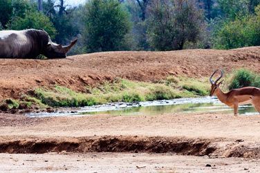 photo Dcouverte complte de l'Afrique du Sud Afrique du Sud