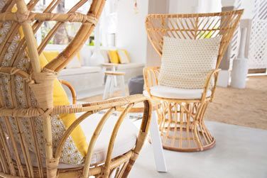 Dcouvrez l'atmosphre cosy du Tropical Attitude