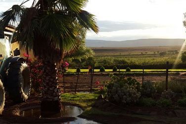 Un de nos hbergement en catgorie standard  Oudtshoorn, le De Denne Guesthouse