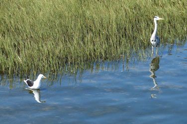 et une nature  couper le souffle