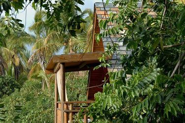 Un htel au charme crole et naturel