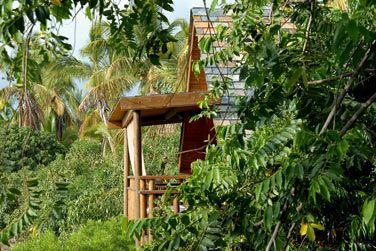 Les Lodges sont dissmins dans le jardin tropical
