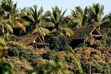 Situ sur la cte Ouest, au coeur d'une palmeraie luxuriante...