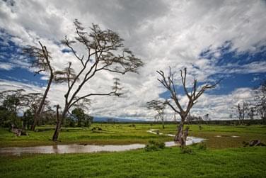 photo Le Kenya du nord au sud Kenya