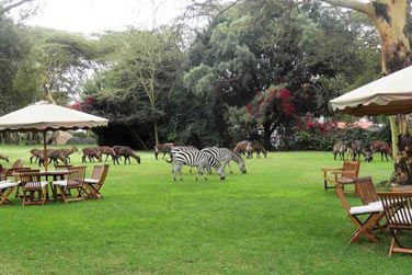 L'extrieur du Lake Naivasha Country Club