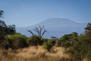 La vue panoramique sur le Kilimandjaro depuis le Sentrim Amboseli Camp