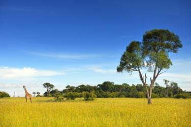 photo Combin Kenya / Zanzibar 2 semaines de voyage Zanzibar