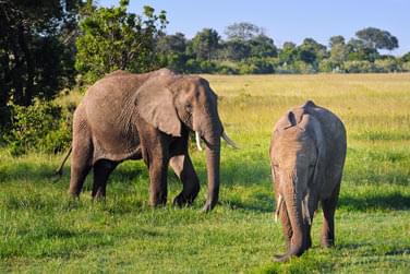 photo Combin Kenya / Seychelles Les incontournables du Kenya & Charme seychellois Seychelles