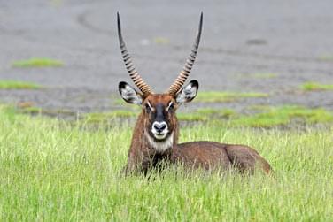 photo Combin Kenya / Seychelles Les incontournables du Kenya & Charme seychellois Seychelles