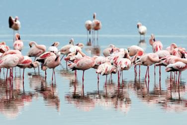 photo Combin Kenya / Seychelles Les incontournables du Kenya & Charme seychellois Seychelles