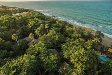 Un paradis cologique, plonge dans la beaut tropicale