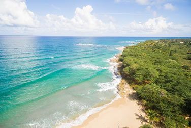 La situation au coeur d'une vgtation luxuriante,  deux pas de la plage